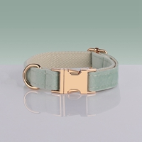 pet collar