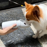 Pet Feeder