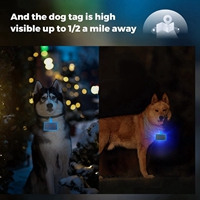 PET TAG