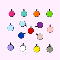 pet tag